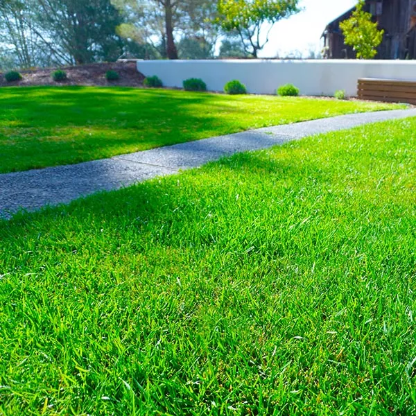 landscape maintenance 45