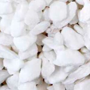 Pure White Crush 1
