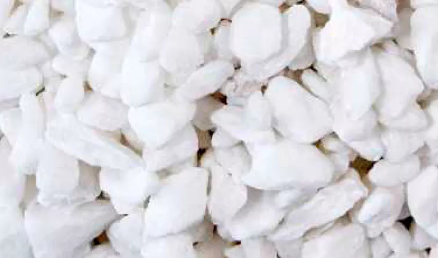 Pure White Crush 1