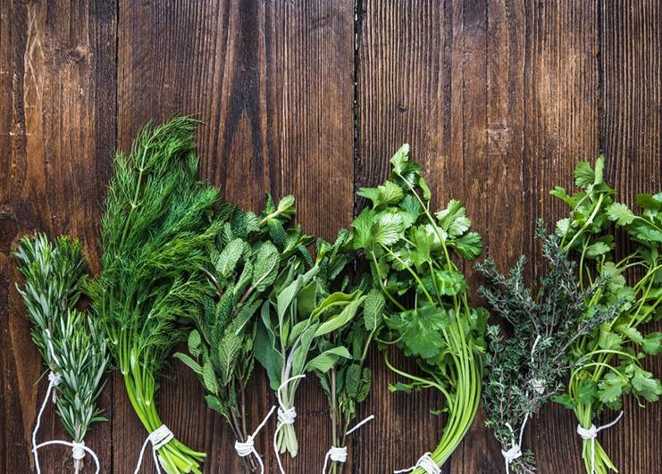 fresh grown herbs