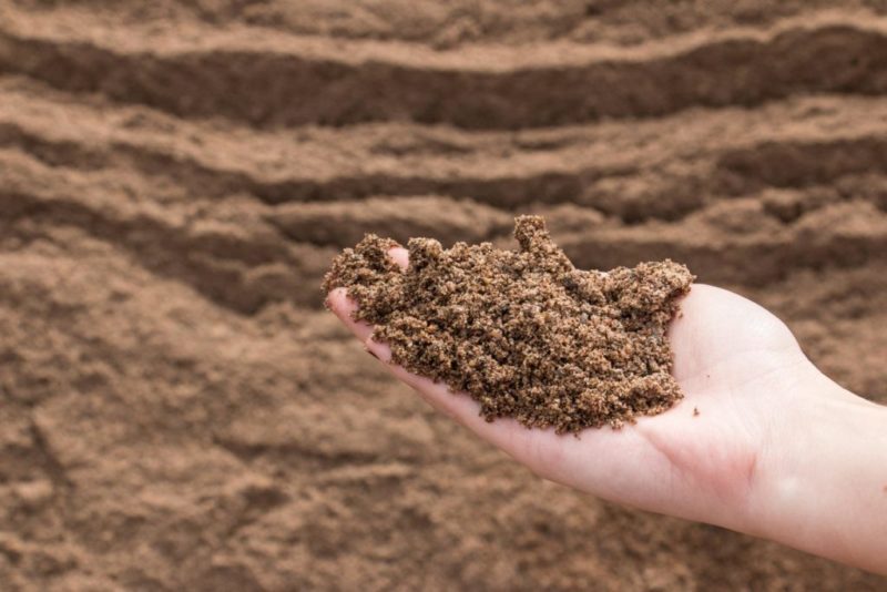 Washed River Sand
