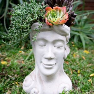 Garden Decor