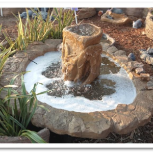 Jumbo Planter & Amanzi Pond