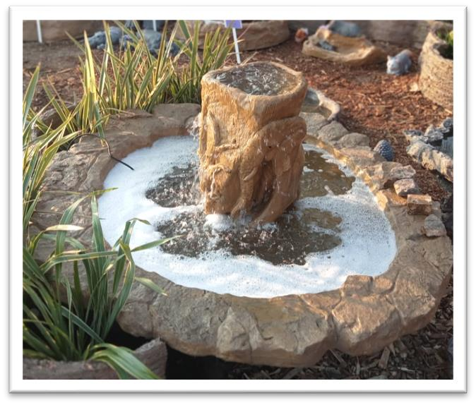 Jumbo Planter & Amanzi Pond