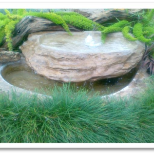 Bubble Bath Top and Bubble Bath Pond