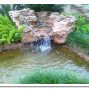Random Top & Random Pond