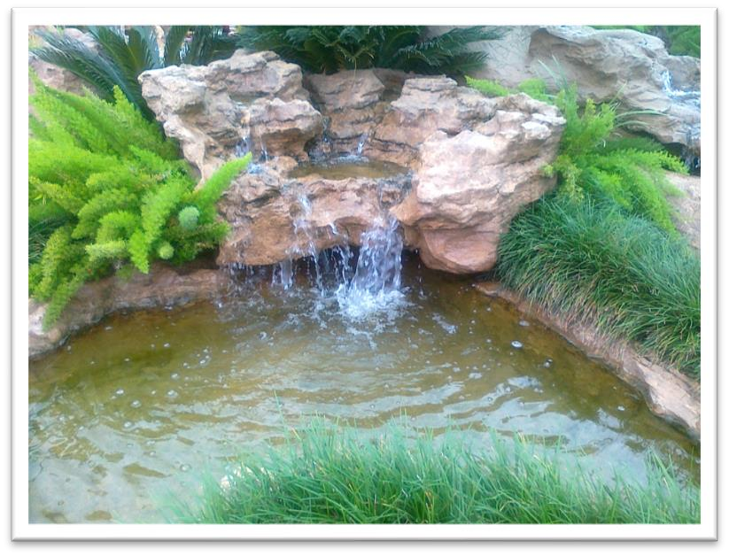 Random Top & Random Pond