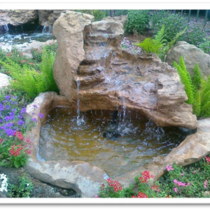 Rhapsody Top & Birdhaven Pond