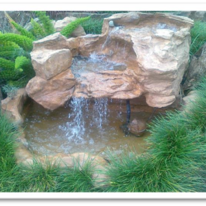 Serenity Top & Bird Haven Pond