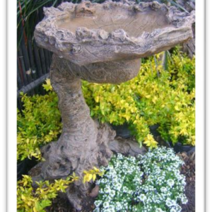 Curled Log Top & Stand Bird Bath