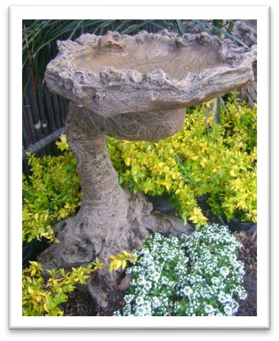 Curled Log Top & Stand Bird Bath