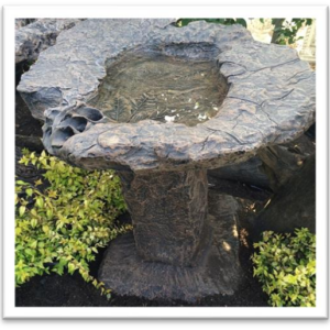 Rock Lily Top & Stand Bird Bath