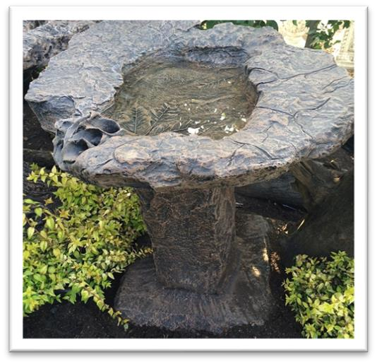 Rock Lily Top & Stand Bird Bath