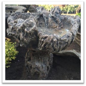 Woodnest Top & Stand Bird Bath