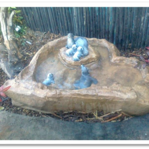 Seal Island Bird Bath