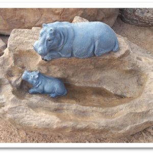 Hippo Pool Bird Bath