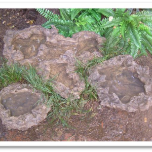Mopani Rock Bowl