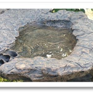 Rock Lilly Top
