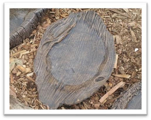 Sneezer Seed Bowl