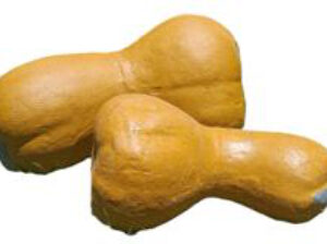 Butternut Garden Ornament