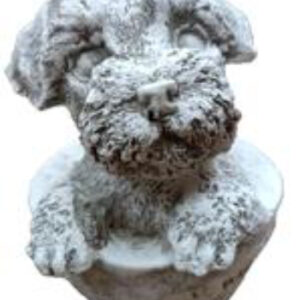 Fluffy Cup Dog
