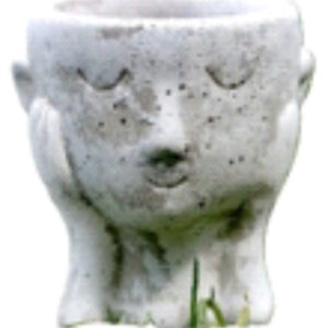 Mini Cutie Planter