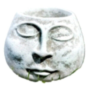 Mini Face Planter