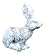 Rabbit Planter