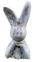 Large Wonder Rabbit - Image 2