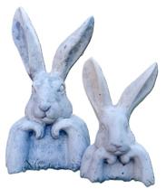 Large Wonder Rabbit