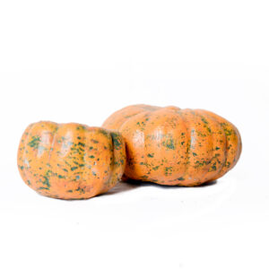 Pumpkin Garden Ornament