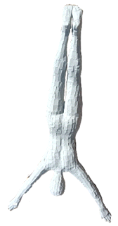 Acro Sculpture Wall Diving