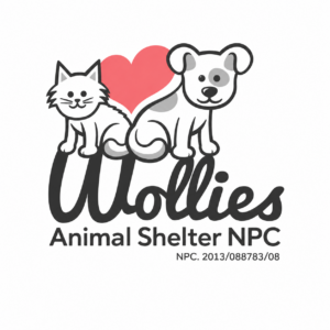 Wollies Sterilisation Fundraising Campaign
